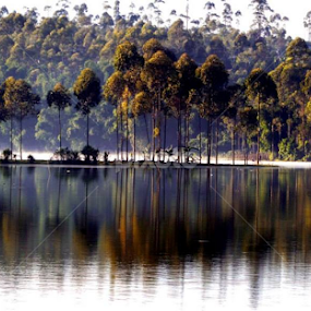 setu cilenca.. by Dwi Ratna Miranti - Landscapes Forests
