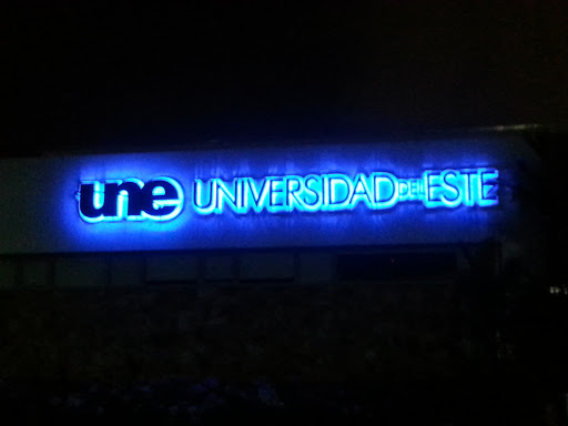 Universidad Del Este