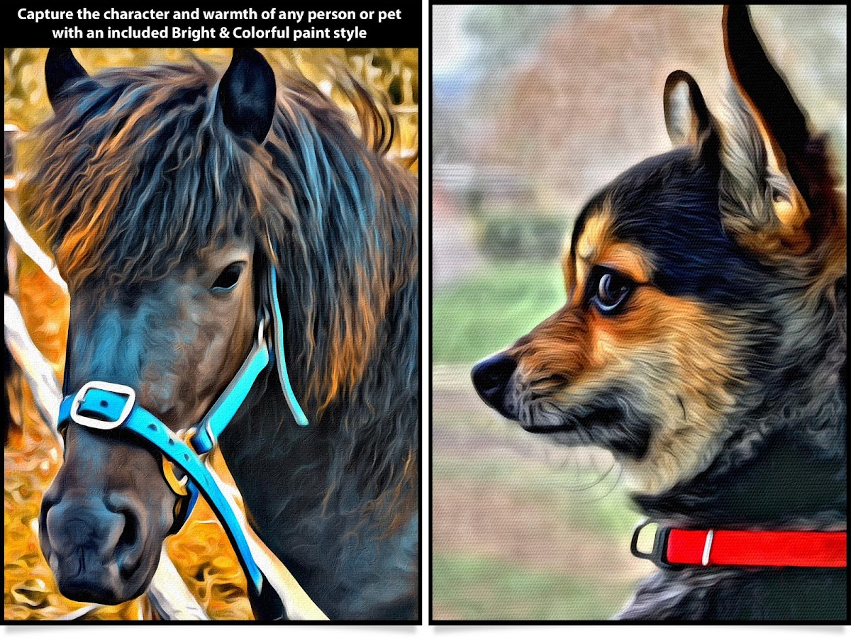Portrait Painter - screenshot
