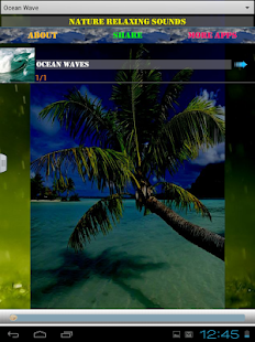 How to get Nature Relaxing Sounds 1.0 unlimited apk for pc