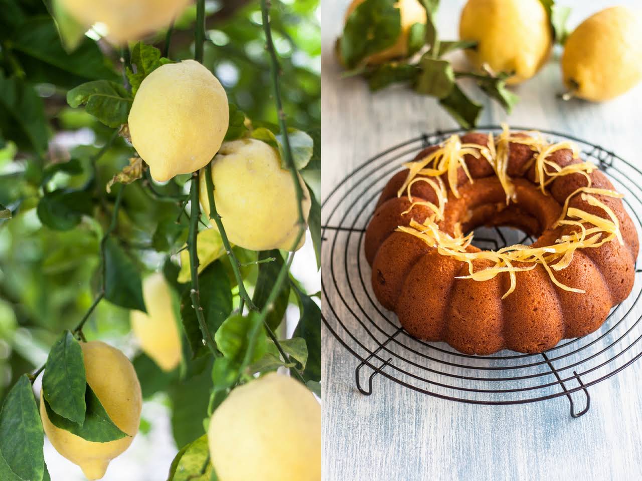 10 Best Potato Starch Cake Recipes Yummly