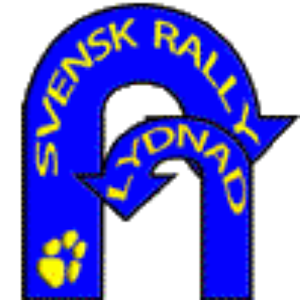 Rallylydnad.apk 1.05