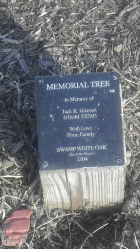 Jack K. Griessel Memorial Oak