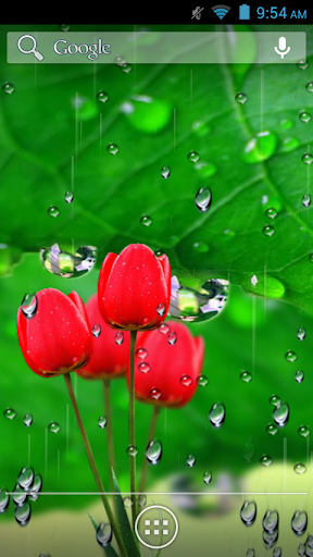 Flowers Rain Fall Wallpaper