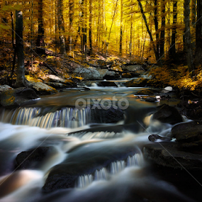 by Ravi Nori - Landscapes Waterscapes