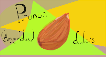latin is fun :)