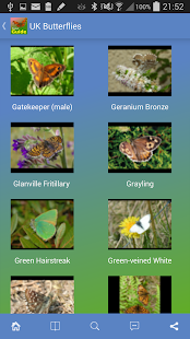 Free Pocket Guide UK Butterflies APK