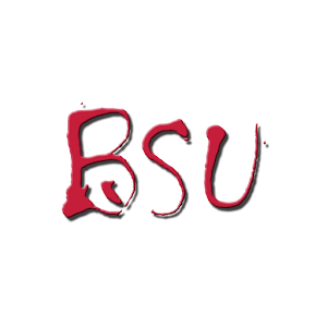 BSU Step 1.0
