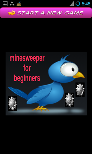 Beginner's MineSweeper mines