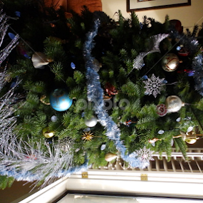 O Christmas Tree by Heather Parrish - Public Holidays Christmas