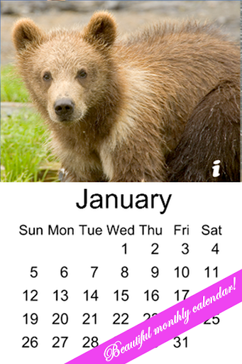 Bear Cub Calendar 2014