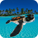 Turtle – PuzzleBox logo
