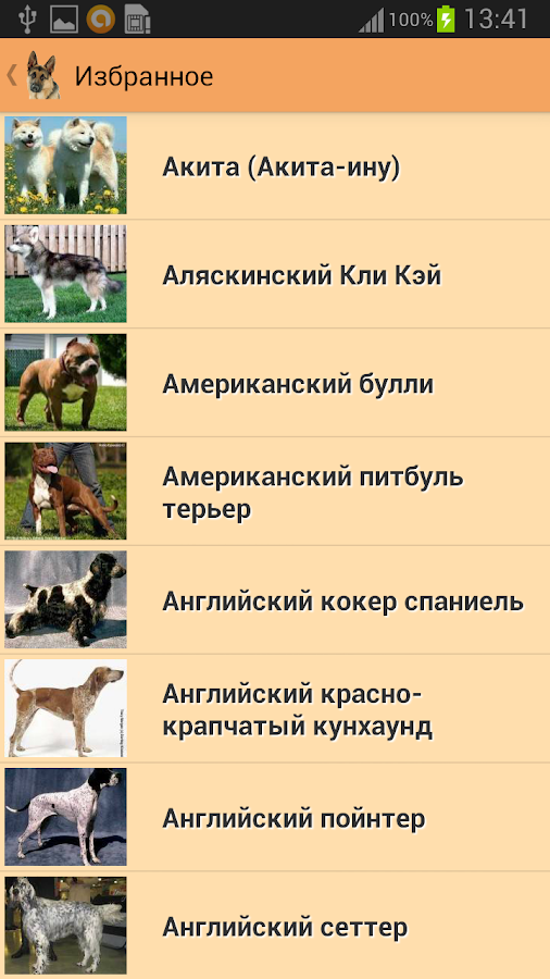 Породы собак — приложение на Android