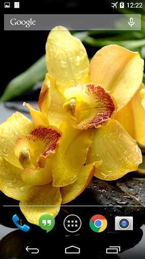 Yellow Orchids Live Wallpaper
