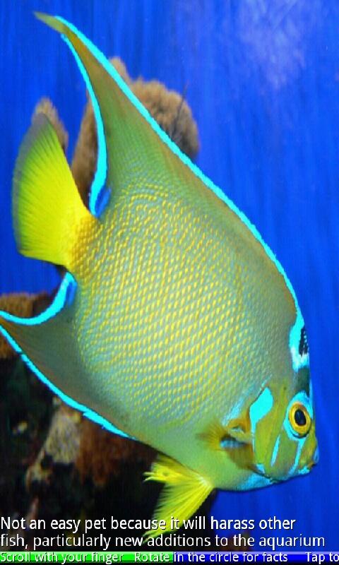 Android application Marine Aquarium Fish screenshort