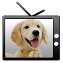 Talking Dog mobile app icon