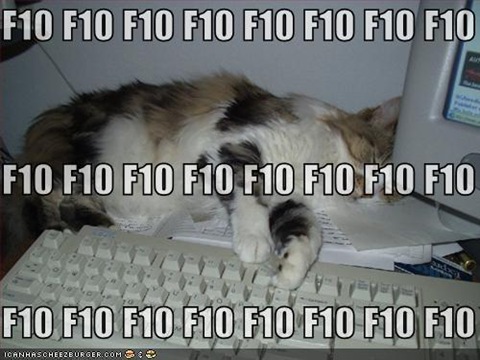 funny-pictures-cat-sleeping-f10-keyboard