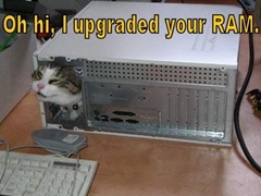oh hi i upgraded your ram lolcat