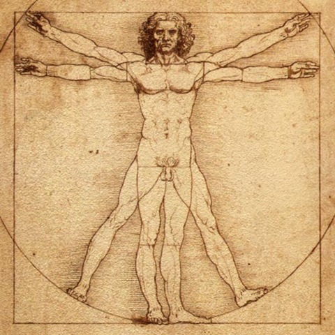 [vitruvian_man_500[2].jpg]