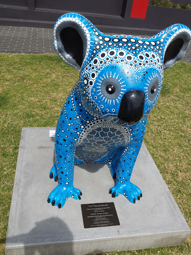 Hello Koalas Sculpture Trail - Oceania