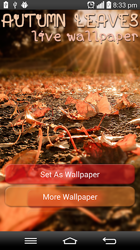 Autumn Leaves Live Wallpaper