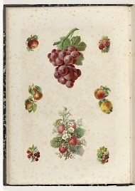 Acht poëzieplaatjes met vruchten