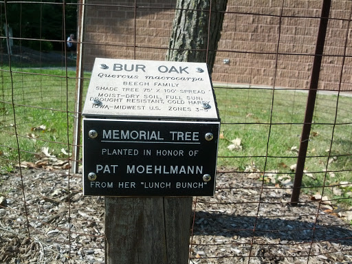 Pat Moehlman Memorial Tree