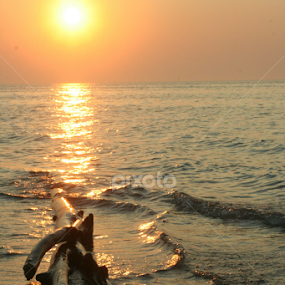 pointing to the sun by Elsie Nisonen - Landscapes Sunsets & Sunrises