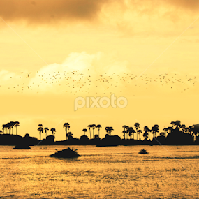 The burning Land   by Ushan Wickramaratne - Landscapes Sunsets & Sunrises