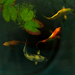 Cover Image of Unduh Wallpaper Video Ikan Koi 3D 4.5 APK