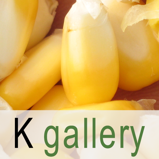 K gallery LOGO-APP點子