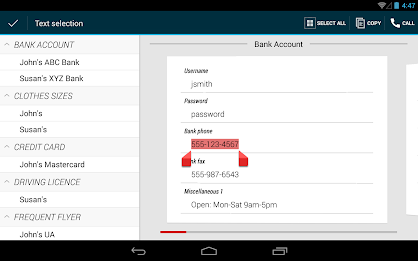 Password Manager poster 22