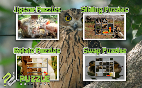 Free Animal Games Screenshots 6