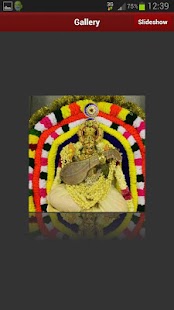 Sydney Durga Screenshots 3