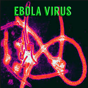 Ebola Virus.apk 1.0