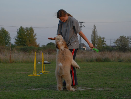 DSC_0204.JPG