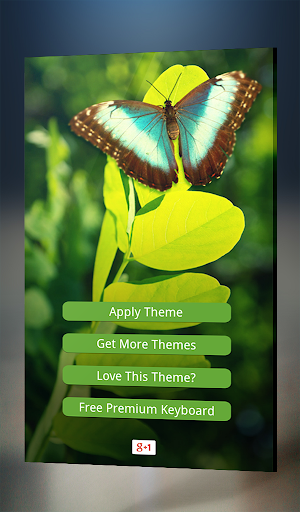 Butterfly Keyboard Theme