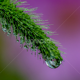 water drop by Cameron Knudsen -  