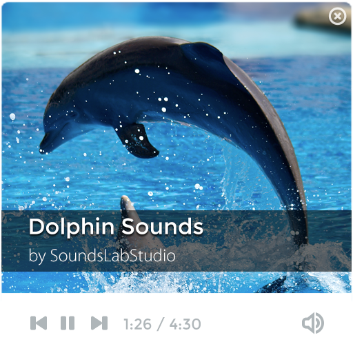 【免費音樂App】Dolphin Sounds-APP點子