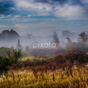 Foggy Fall Morning by TJ Champagne - Landscapes Prairies, Meadows & Fields
