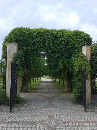 Zarośnięta brama do Parku Dębnickiego