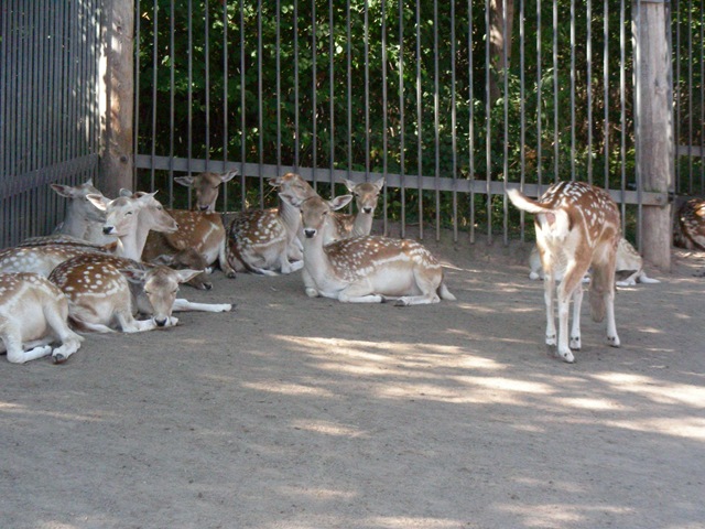 [DSCN28855.jpg]