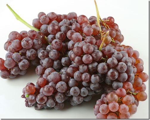 champagnegrapes
