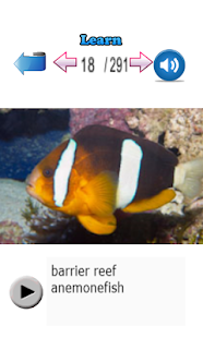 Learn Fish Names Screenshots 2