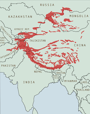 [image4[1].png]