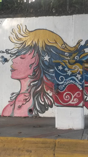 Grafiti De La Mujer Venezolana
