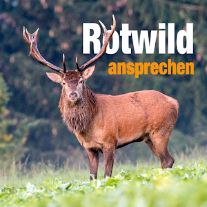 Rotwild ansprechen logo