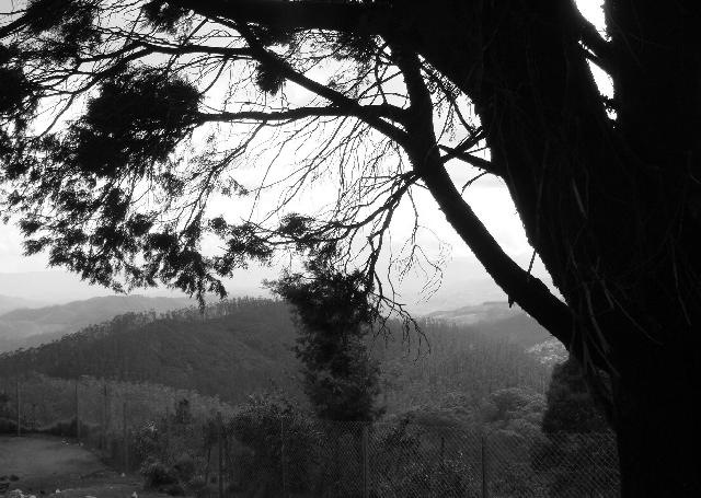 [aDSC00558bw[5].jpg]