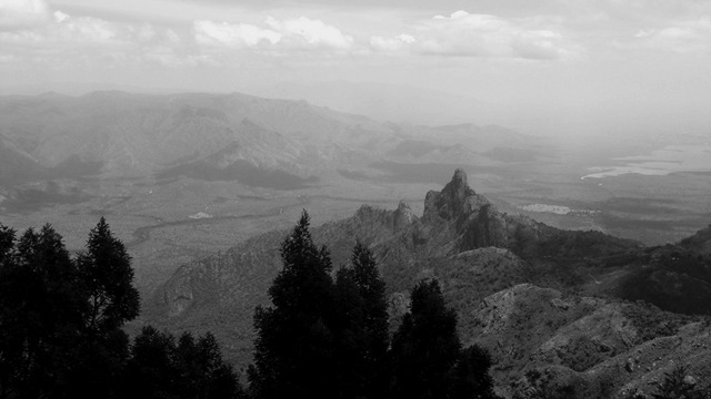 [aDSC00761bw[3].jpg]