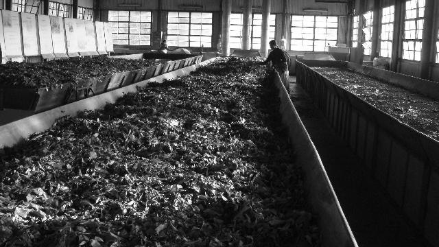 [aDSC00817bw[4].jpg]